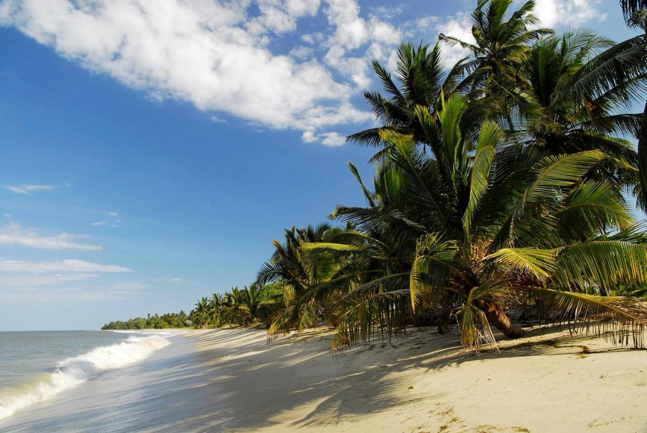 Embedodo Beach House, Ushongo Beach, Pangani Ushongo Mabaoni Exterior foto